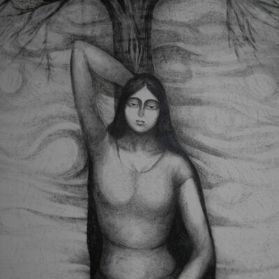 Echoes Beneath the Canopy